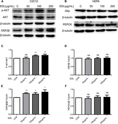 Hypoglycemic effects of dendrobium officinale leaves